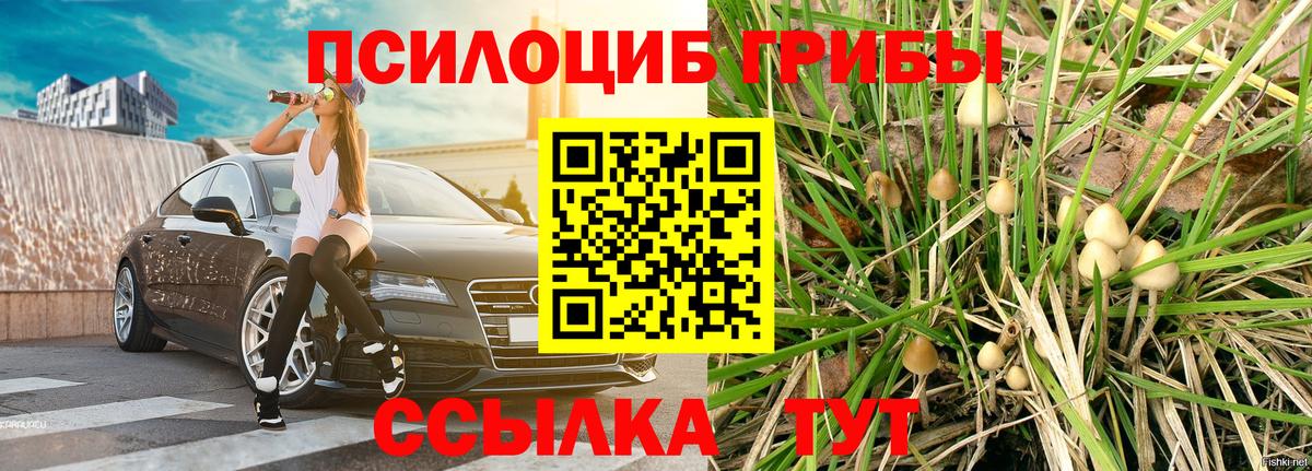 Псилоцибиновые грибы Magic Shrooms  Псилоцибиновые грибы прущие грибы  Лабытнанги  Вход с VPN 